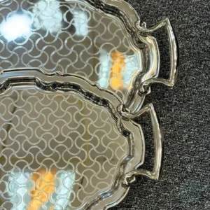 سینی جفتی استیل سیلور 6915